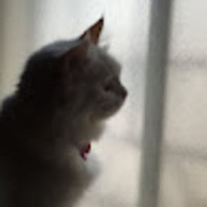 Meet your Posher, Zainab